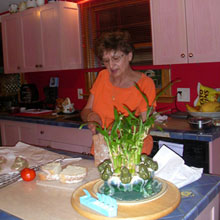 Alma Riddell, Edina, Minnesota, Etats-Unis At Home in her Kitchen
